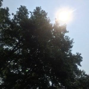 The gorgeous weather doesn't hurt.