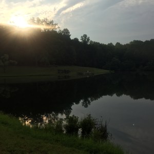 Sometimes the flow is looks very still, but it is still moving.