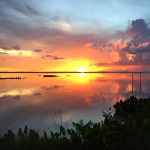 14047351_10154468276252264_5432744295936588239_o